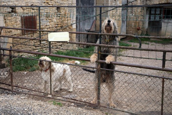 2022 06 05 Vézelay3.jpg, janv. 2023